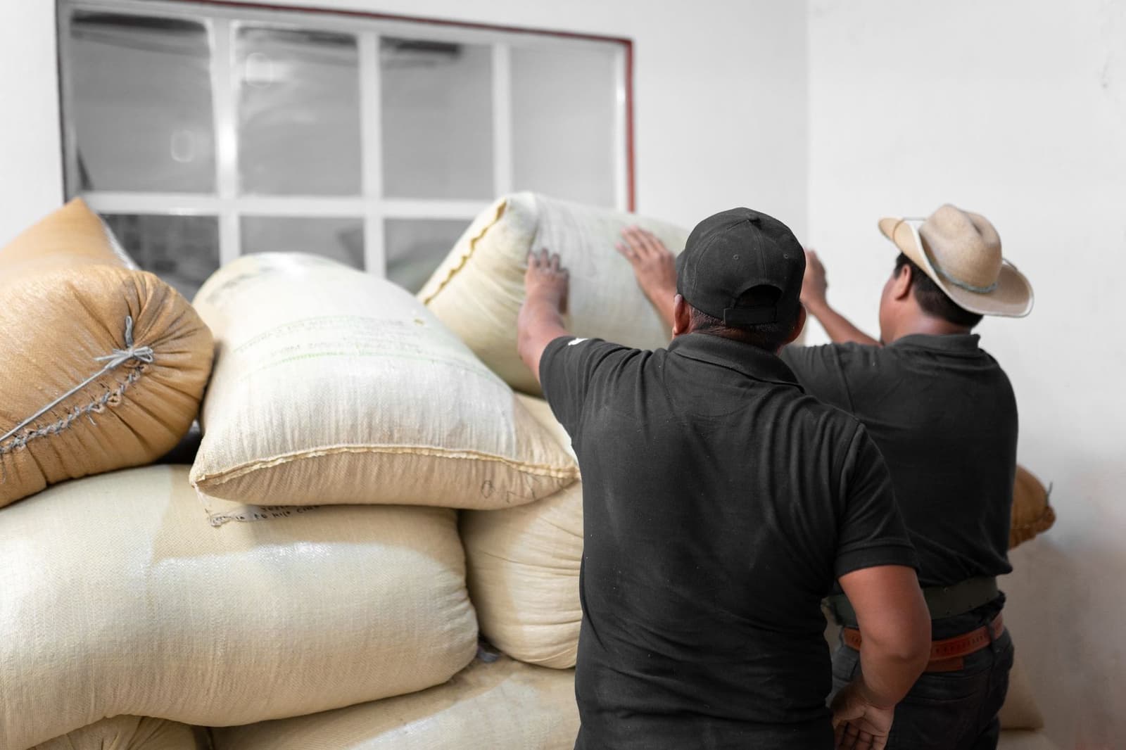 Hurricane Preparation: Resources Residents Should Line Up Now